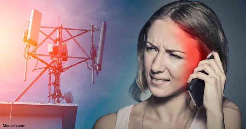emf dangers cell phone