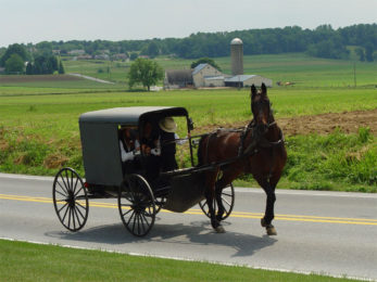 An Amish family riding in a traditional Amish buggy in Lancaster County, Pennsylvania