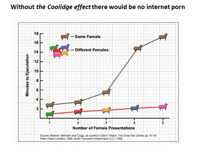 the coolidge effect | porn addiction timeline pornography nofap