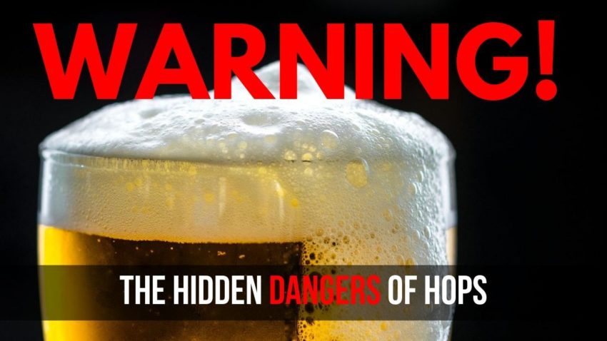 The Hidden Dangers of Hops in Beer